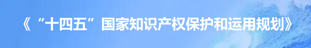 “十四五”國家知識產權保護和運用規劃